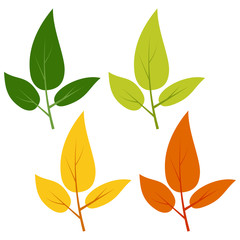 Set of green, yellow and red leaves isolated on white background. Vector illustration of autumn leaves. 
