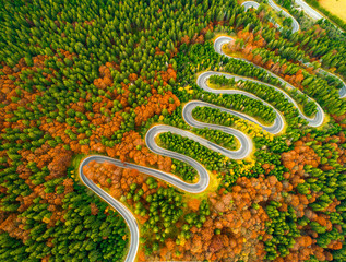 Aerial view of winding road through autumn colored forest