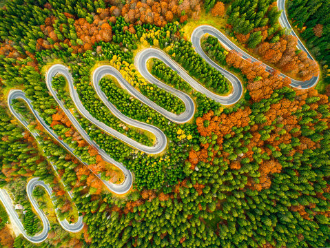 Aerial View Of Winding Road Through Autumn Colored Forest