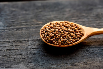 Coriander seeds in wooden spoon on wooden table