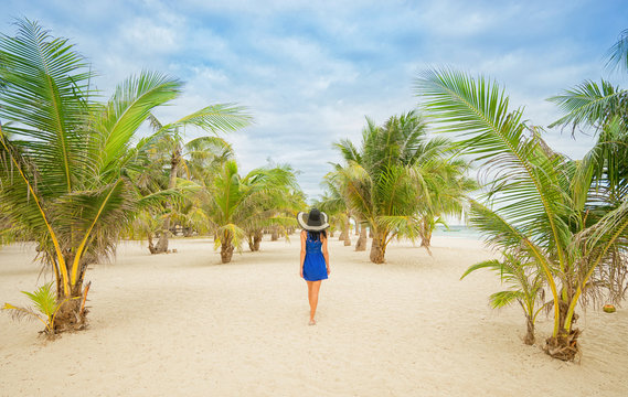 Woman walk between palms on the beach side. back view.