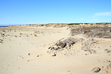 Sandy district with barkhans and poor vegetation