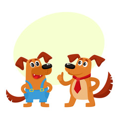 Two funny cute brown dog characters, one in blue overalls, another wearing tie, showing thumb up, cartoon vector illustration isolated on white background with speech bubble