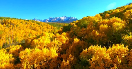 Fall Colors On Colorado Mountains With Peak In Background - Yellow Autumn Colors - Aerial Fly Over In Colorado