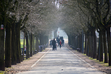 Park in France