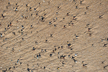 Fototapeta na wymiar Beach stones on sand background