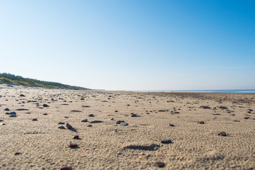 Beach Palanga