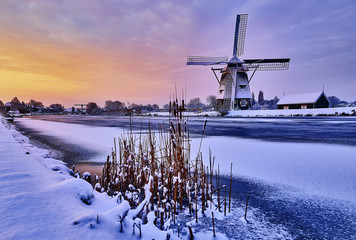 Dutch windmill in the snow of a holland winter - obrazy, fototapety, plakaty