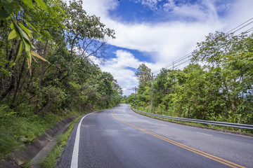 Obraz premium View of the street in natural forests 