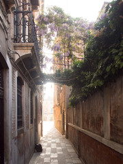 Narrow road in Venice