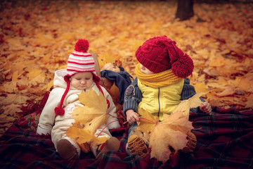 Little attractive kids play in the autumn park.