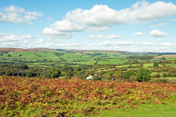 Fototapeta na wymiar Countryside scenery in the autumn of the Brecon beacons near the Begwns, Wales, United Kingdom.