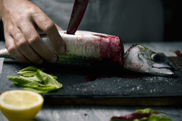 young man cutting a fresh mackerel