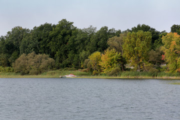 Riverbank with grasses and trees