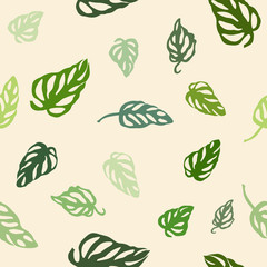 Seamless pattern of colorful leaves Monstera, isolated on yellow background. 