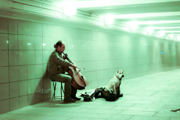 The man with a dog in transition plays a violoncello