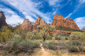 Colors and adventure at Zion National Park, Canyon Junction, Utah, USA