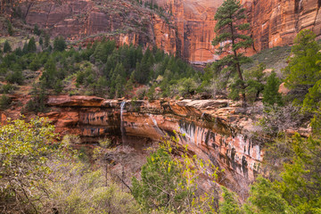 Colors and adventure at Zion National Park,  Emerald Pools Trails, The Grotto, Angels Landing,...