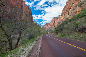 Fototapeta premium Colors and adventure at Zion National Park, Temple of Sinawava, Utah, USA
