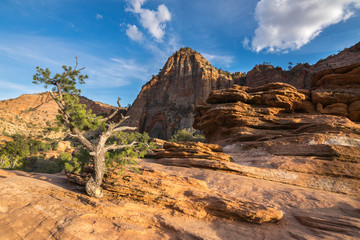 Sunset at Zion National Park, Canyon Overlook trail, Utah, USA