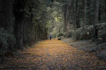 Spaziergänger im Herbst