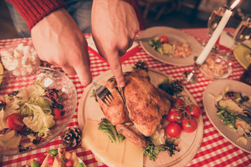 Close up top up view of chef arms serving roasted stuffed small turkey and fresh yummy vegetables, on round wooden board, checkered tablecloth, cones with golden shining, ready to meet x mas, noel