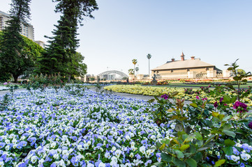 SYDNEY - October 12: Sydney Royal Botanic Garden on October 12, 

2017 in Sydney, Australia.