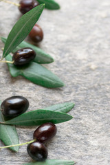 Rural Italian background with olive branch and olives. Close up. Vertical format