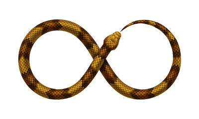 Naklejka premium Vector Snake bites it's tail in the form of a sign of infinity.
