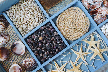 Set of sea shells collection on a blue close-up background