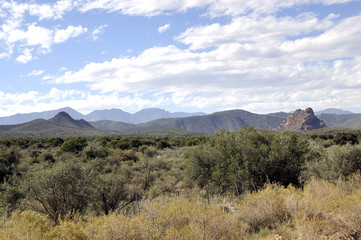 Obraz premium Thick Forest and Mountain Range Under Cloudy Blue Sky