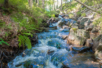 Fototapeta premium Small stream waterfall in Norway. Mid summer colors.