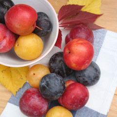 Prugne rosse, gialle e viola su tavolo di legno. Fuoco selettivo.