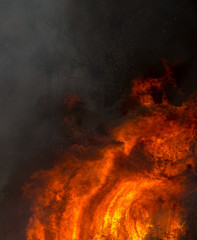 Flames Power during a Forest Fire.