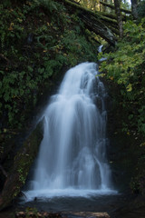 Fototapeta na wymiar WaterFalls in the forest