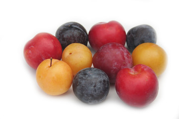 Prugne rosse, gialle e viola isolate su sfondo bianco