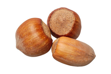 Group of nuts on a white background