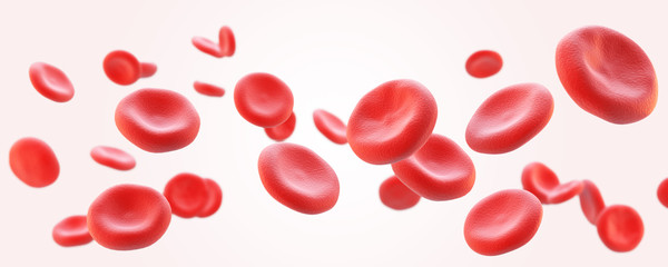 human red blood cells - obrazy, fototapety, plakaty