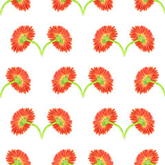 Seamless pattern with marigold flower