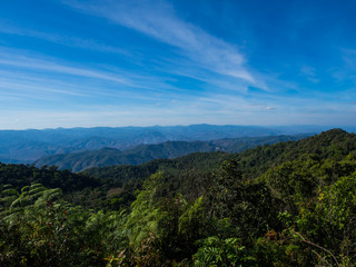 Fototapeta premium The blue sky with green forest, normal nature to prevent global warming in Chiangmai, Thailand.