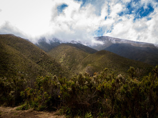 Fototapeta na wymiar Great View Kilimanjaro 