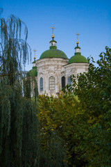 An old church among green trees