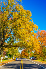 Naklejka premium Colors of the fall