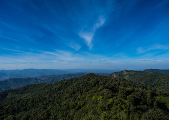 Method to reduce global warming is this green forest up hill in Chiangmai, Thailand.