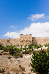Fototapeta na wymiar The Golden Gate or Gate of Mercy in the Ancient Old City Walls of Jerusalem in Israel