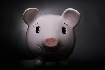 Piggy Bank
