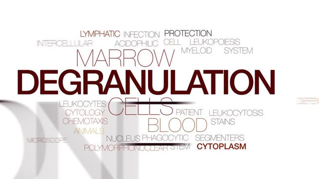 Degranulation animated word cloud, text design animation. Kinetic typography.