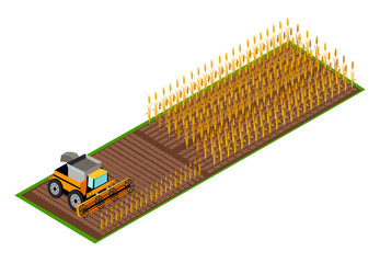 Combine Harvester Gathering Wheat on Field Vector