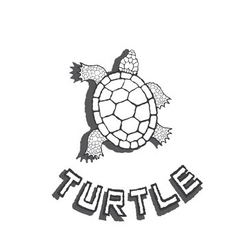 an illustration consisting of a turtle image in the form of a symbol or logo

