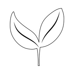 leaves icon image